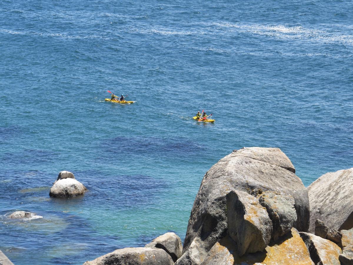 Penguins View Guesthouse Simonʼs Town Exterior foto